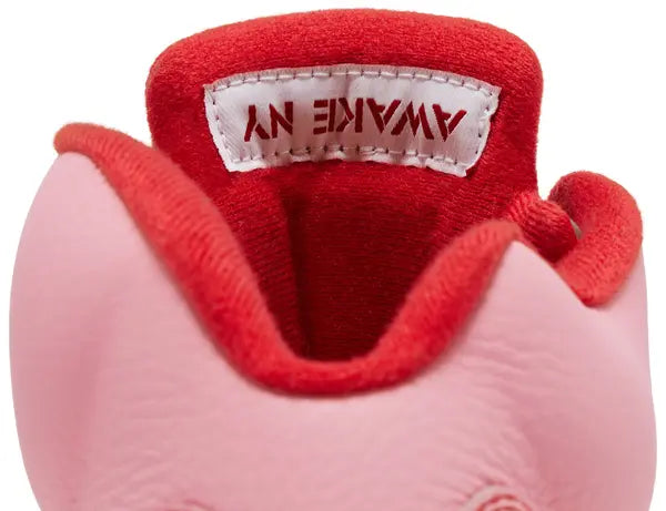 Awake NY x Air Jordan 5 Retro Boro - Arctic Pink (2025)