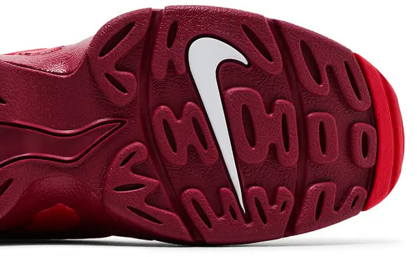 Nike Air DT Max '96 ‘Love Letter to Connie’ 2025 University Red Nubuck Tribute