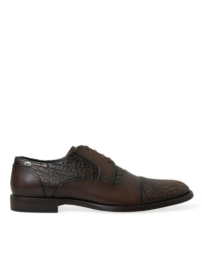 Dolce & Gabbana Zapatos de vestir Oxford con cordones de cuero exótico marrón