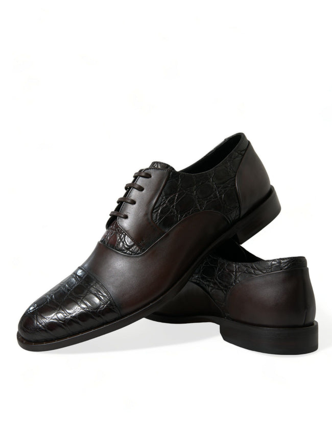 Dolce & Gabbana Zapatos de vestir formales de cuero exótico marrón para hombre