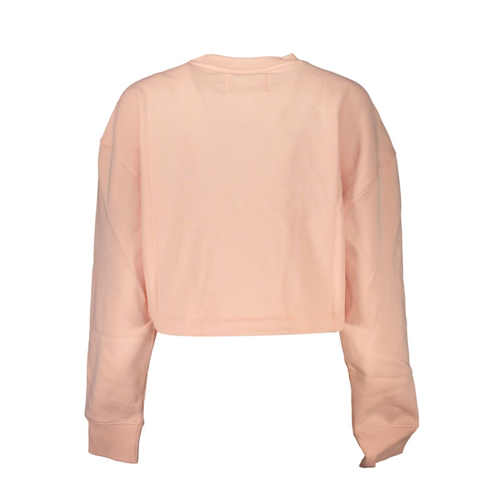 Calvin Klein Pink Cotton Sweater.