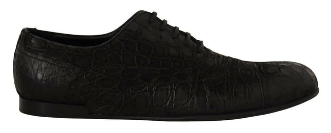 Dolce & Gabbana Black Caiman Leather Mens Oxford Shoes - GENUINE AUTHENTIC BRAND LLC  